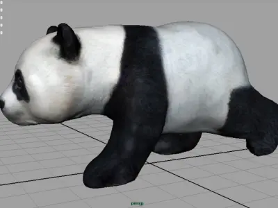 Panda Walking 3D model