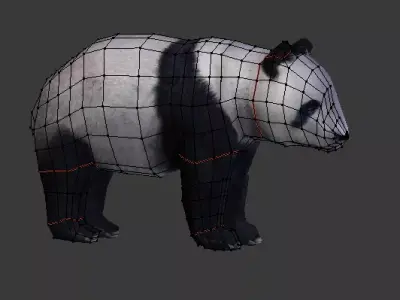 Panda Bear 3D model buy