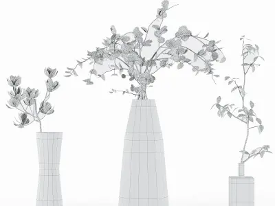 Collaction Indoor Plants 3D model