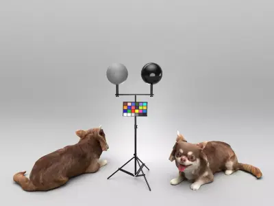 Chihuahua dog lying down 36 Low-poly 3D model