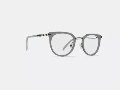 Whittier Eyeglasses in Soapstone with Riesling 3D model
