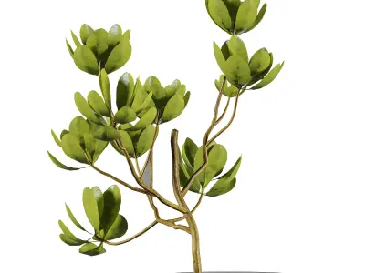 Bouquet 3D model buy