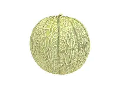 Photorealistic Charentais Melon 3D Scan 3D model