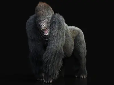 Gorilla RIG XGEN CORE 3D model