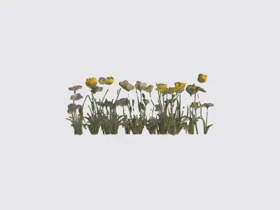 Wildflowers Low-poly 3D model