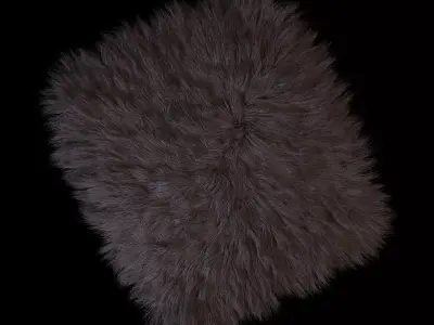 Skin sheepskin 02 3D model