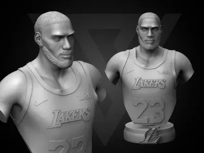 LeBron James 3D Printable 3 3D print model