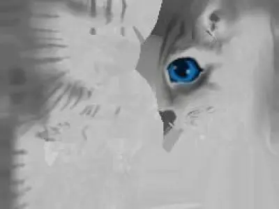 6 Low Poly Cute Cats Low-poly 3D model