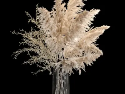 Set Of Bouquets Of Dried Flowers And Pampas Grass 280 3D model
