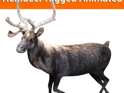 Black Reindeer rigged animated 3D model Low-poly 3D model