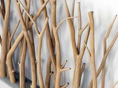 Branch old screen n1 3D model