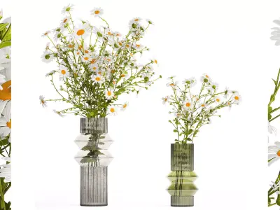Bouquet Of White Wildflowers Chamomile Daisies 413 3D model