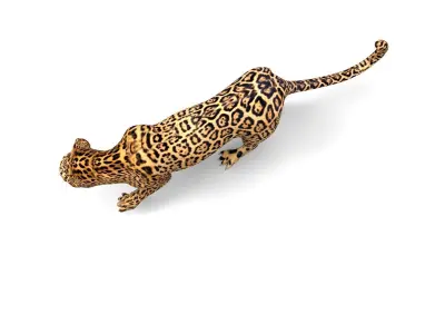 Rigged And Animated Leopard Low-poly 3D model