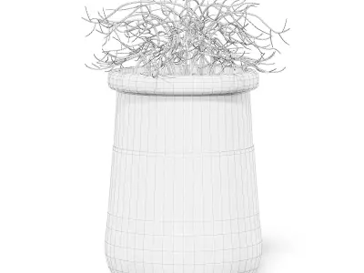 Plant 3D Model in Large Modern Pot 3D model