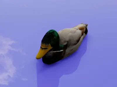 Duck 3D model Low-poly 3D model