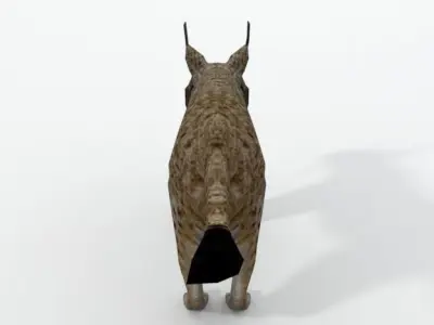 Iberian lynx Low-poly 3D model