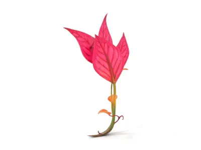 Pink Botanical Leaves model pack Low-poly 3D model