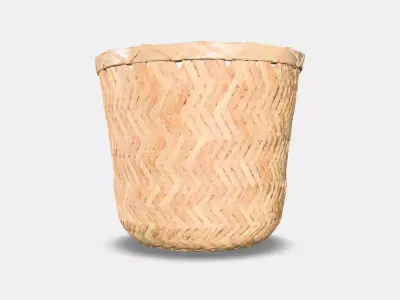 KLYNNON Plant pot Low-poly 3D model