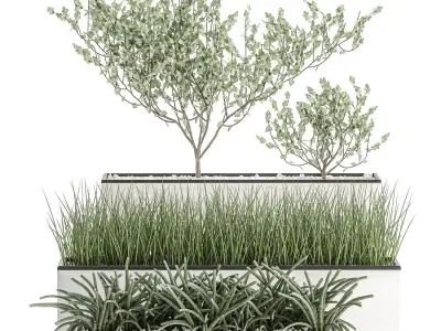 Decorative plants for the interior in a white flowerpot 585 3D model