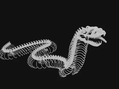 Anaconda skeleton 3D model
