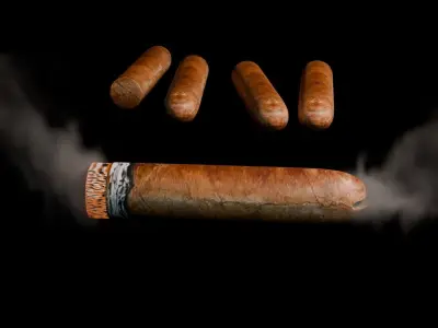 CIGAR - 3D MODEL  BLENDER  Low-poly 3D model