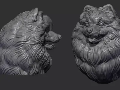 Pomeranian head 3D print model