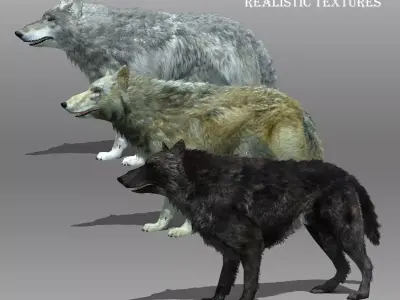 Wolf Animated Low-poly 3D model
