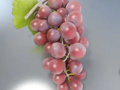 Red Grapes High Detail 3D model