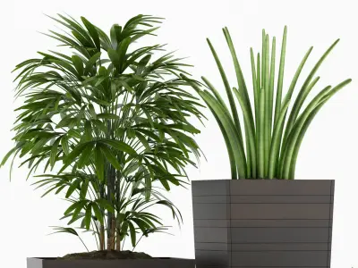 plants set 136 3D model