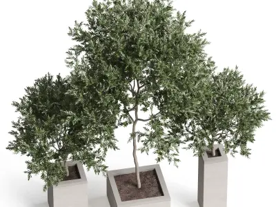 Plants collection 769 3D model