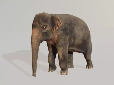 Asian elephant  Low-poly 3D model