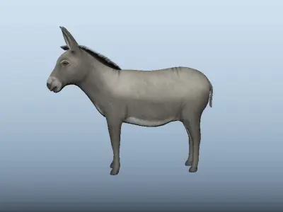 Donkey Animated Low-poly 3D model