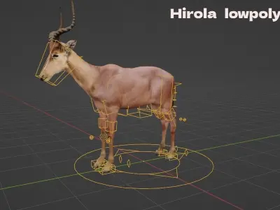 Hirola 3D model