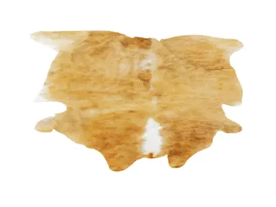 Animal skin rug 06 3D model
