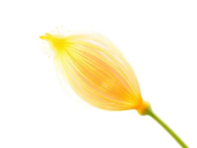 Vivid Yellow Flower model pack Low-poly 3D model