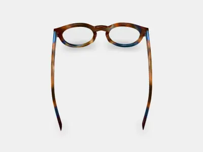 Tal Eyeglasses in Maritime Tortoise 3D model