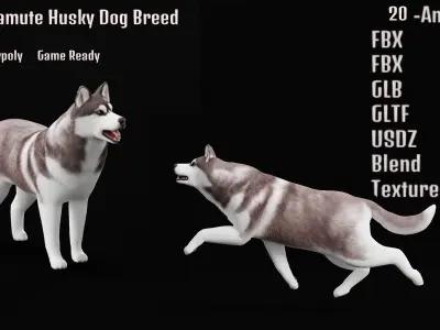 Alaskan Malamute Husky Dog Low-poly 3D model