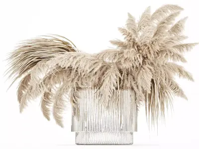 bouquet of dried flowers cortaderia pampas reed 514 3D model
