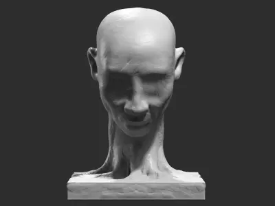 human head modern sculpture 3d print model 82 3D print model