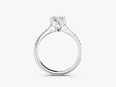 ZABS0013B EM engagement 3D print model