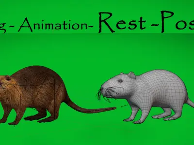 Nutria Coypu Rodent Low-poly 3D model