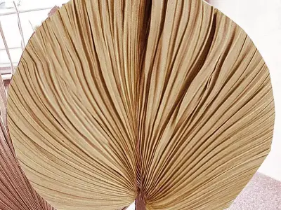 Bamboo fan  Free 3D model