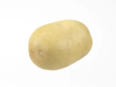 Photorealistic Potato 3D Scan 3D model