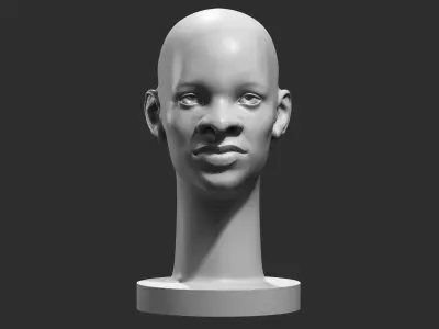 human head modern sculpture 3d print model 109 3D print model