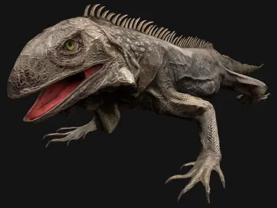 Iguana Reptile Low-poly 3D model