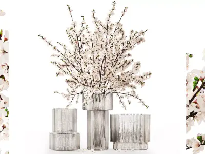 White bouquet of sakura cherry blossom branches 345 3D model