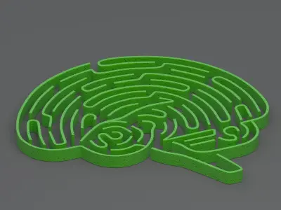 Brain Maze Collection 3D model