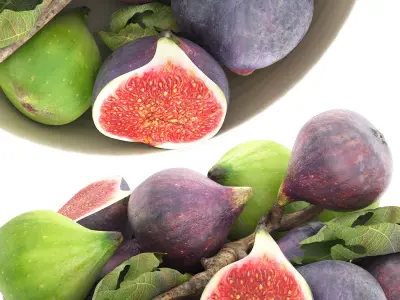 bowl of figs fruit 3D model