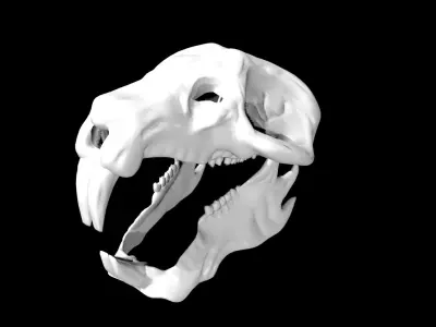 Rat Skull Low-poly 3D model purchase