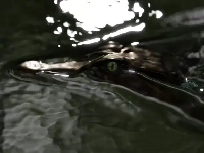 Black Caiman full rigged 3d model Low-poly 3D model